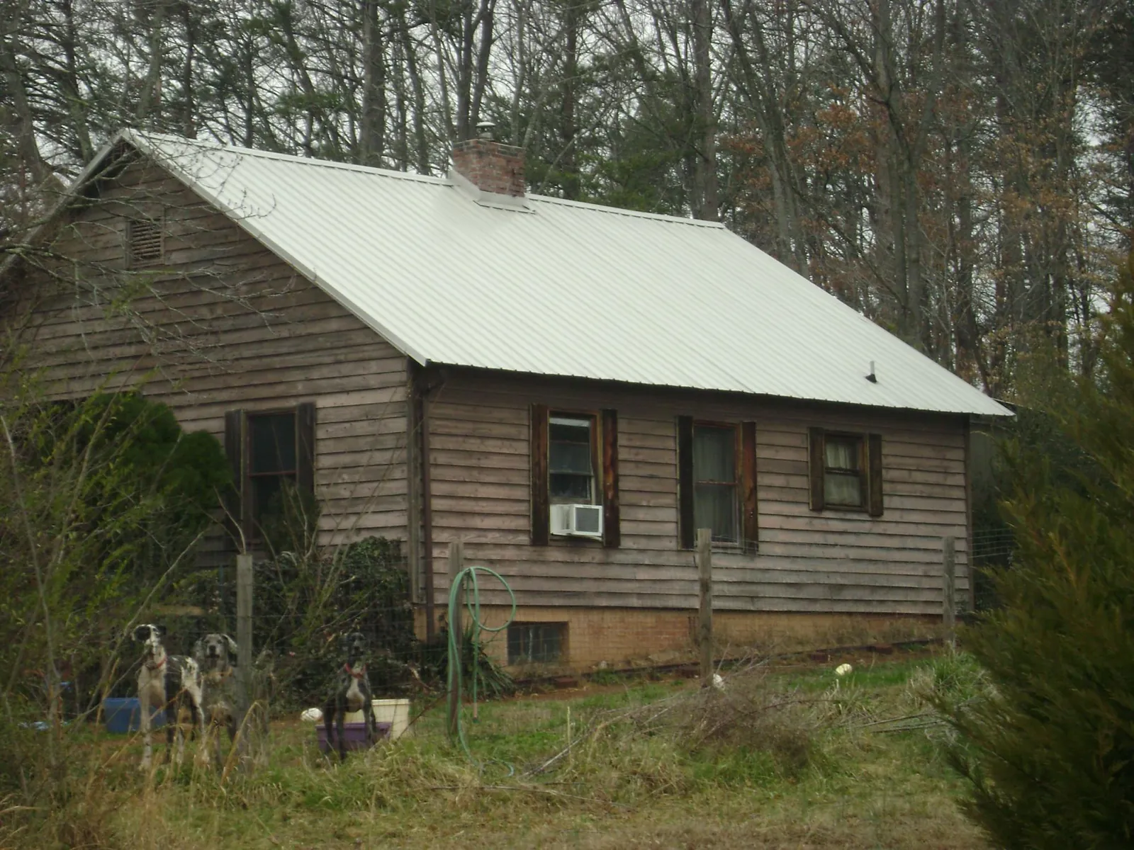 White metal roof on an old wood sided farmhouse, from a Asphalt Shingle Roof Repair job in Dry Fork